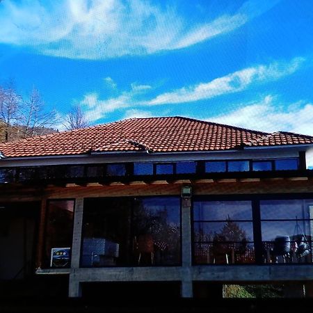 Viewpoint Kofiljaca Bed and Breakfast Πλαβ Εξωτερικό φωτογραφία